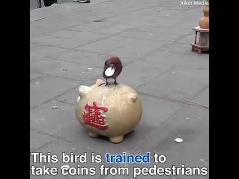 Icififjfuduflxva 4th cmz to xuglz up fk  J DC PC:*