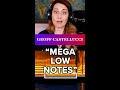 Geoff Castellucci's MEGA LOW notes under microscope