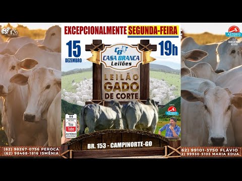 LEILÃO EXCEPCIONAL CASA BRANCA LEILÕES -  CAMPINORTE - GO 15/12/2025