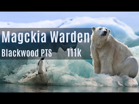 Magicka Warden 111k dps | Blackwood PTS week 2