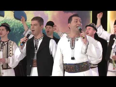 🎶🎵🎶 Despre dragoste, prin cântec şi dans 🎶🎵🎶