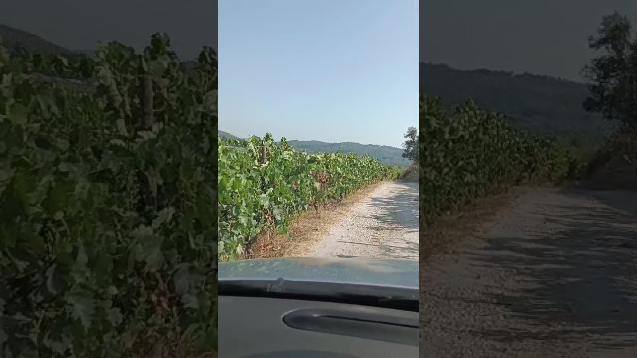 Vídeo do imóvel