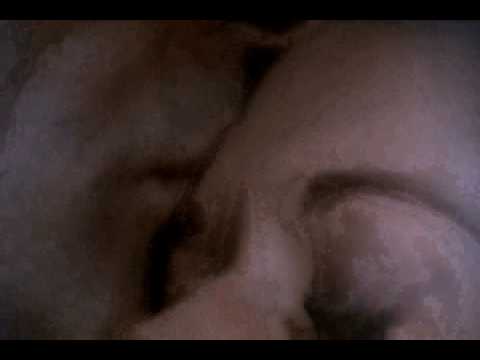 THE MELODY OF A FALLEN TREE II