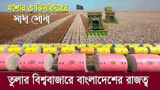 বিশ্ববাজারে তুলার রাজত্ব