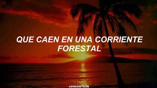 Jung Seung Hwan – Singing Like A Wind [Sub. Español]