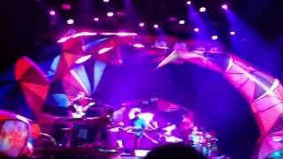 I think I can, animal collective