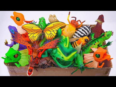 ZURU ROBO ALIVE COLLECTION | UNBOXING Robo Butterfly, RC Chameleon, RC Lizard Compilation ASMR
