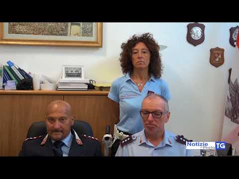 2018-06-01 MONTEMURLO - INDAGINI SU 9MILA AUTO, PRESA PIRATA DELLA STRADA