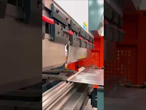 Anteprima video dettaglio del prodotto RAYMAX 1.RAYMAX ® NC Hydraulic Press Brake WF67Y-125T/3200 with Estun E21  2024
