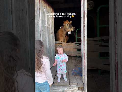 When your kid tries to help on the farm… chaos ensues. #FarmLife #TinyHelpers #ParentingHumor