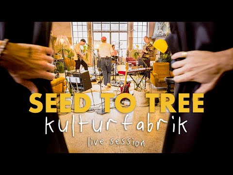 Seed to Tree - Live Session at Kulturfabrik