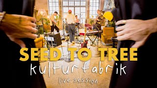 Seed to Tree - Live Session at Kulturfabrik