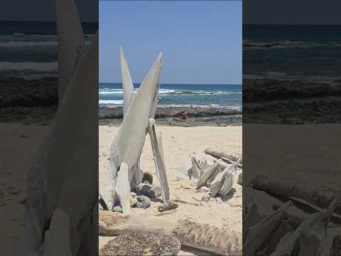 Socotra, Yemen Ras Erissel is the easternmost point The Indian Ocean and the Arabian Sea meet. Sheba