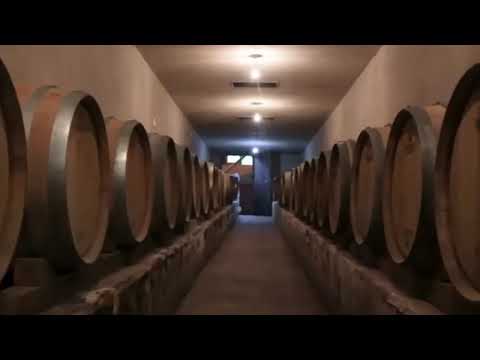 Bodega Las Cañitas. #sierrasdecordoba #calamuchita