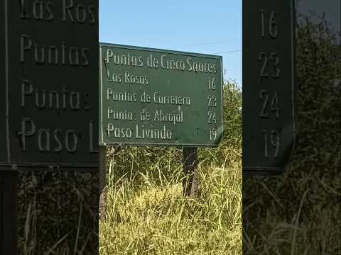 Pueblo  Puntas de Cinco Sauces , departamento de Tacuarembó , Uruguay , videitos cultura uruguaya 🇺🇾