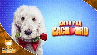 Amor Pra