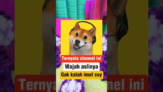 Download lagu BONGKAR‼️ Wajah asli Obit si anjing lucu #shorts mp3