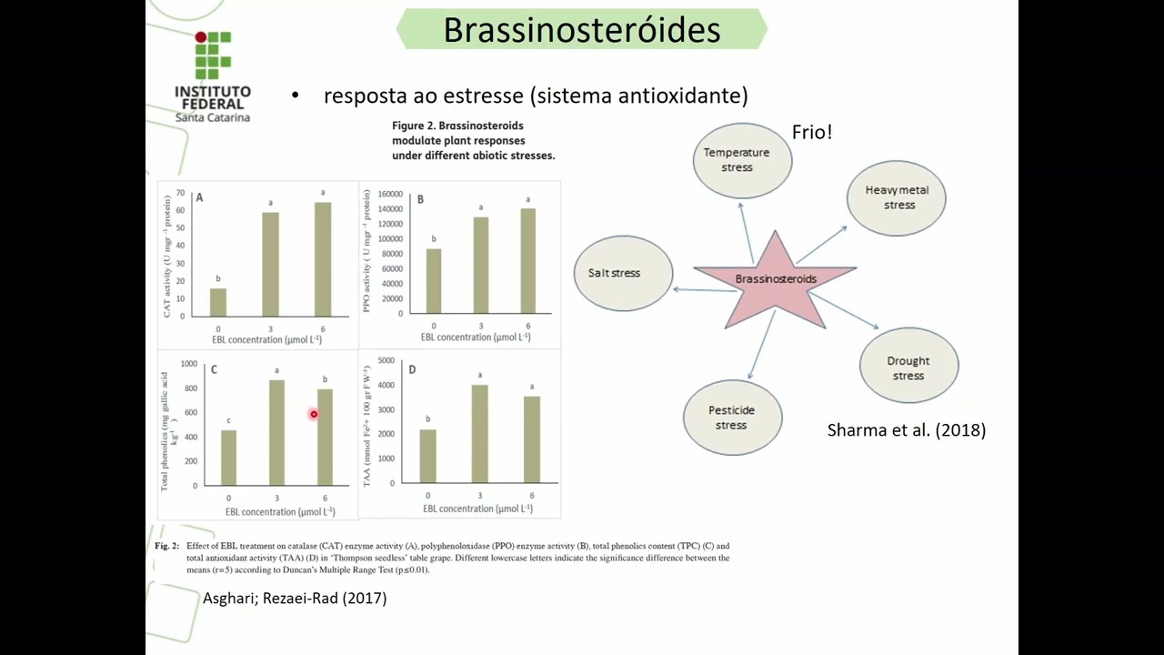 Brassinosteróides - atualizações