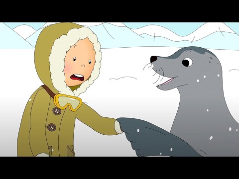Animal Friends | Caillou | Cartoons for Kids | WildBrain Little Jobs