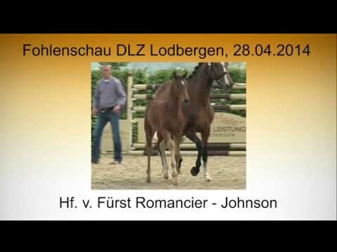 Hf Fuerst Romancier x Johnson