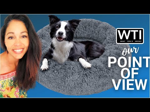 Active Pets Donut Dog Beds - WTI product video review