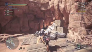 MHW with　ポチャ