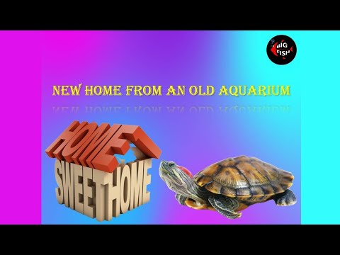 Beautiful Double Decker Turtle Tank with live plant made from an Old redundant tank.