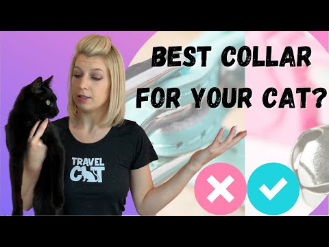 BEST COLLAR for your Adventure Cat??? Three Options and the Safeties and Dangers of Each