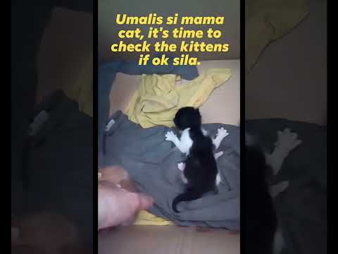 checking the 3 cuties