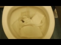 1997 1999 Armitage Shanks Cameo toilet at NPTC G block ground floor