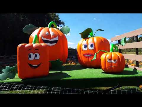 download lagu mp3 mp4 Best Apple Picking Farms In Nj, download lagu Best Apple Picking Farms In Nj gratis, unduh video klip Best Apple Picking Farms In Nj