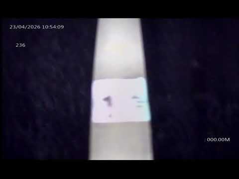 Extracto 236 - Caucete - San Juan