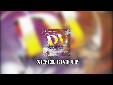 DJ WALKER NEVER GIVE UP