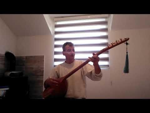 Šefik Šehić Zastavi me policija na autoputu