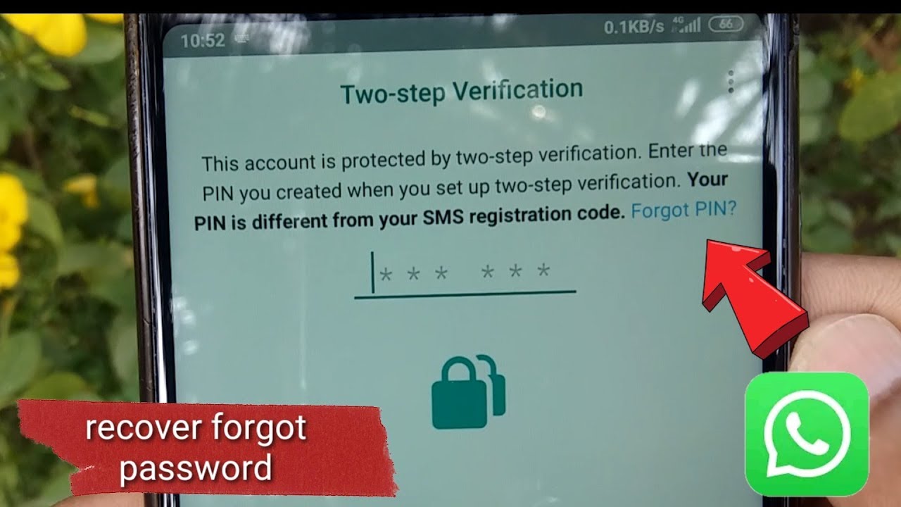 How do I know what my WhatsApp PIN is?