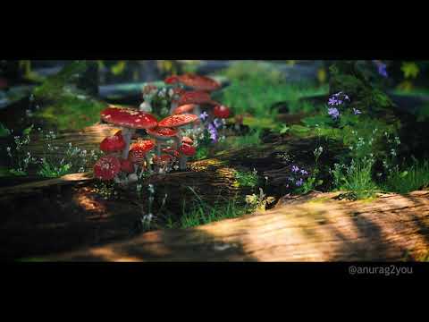 Relax with Nature - A short 3D scene