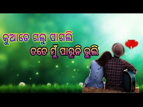 Kuade Galu Pageli/Human Sagar/New Odia Sad Status Video....