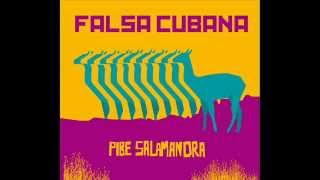 Falsa Cubana - Ska N´Ska (Pibe Salamandra - 2009)