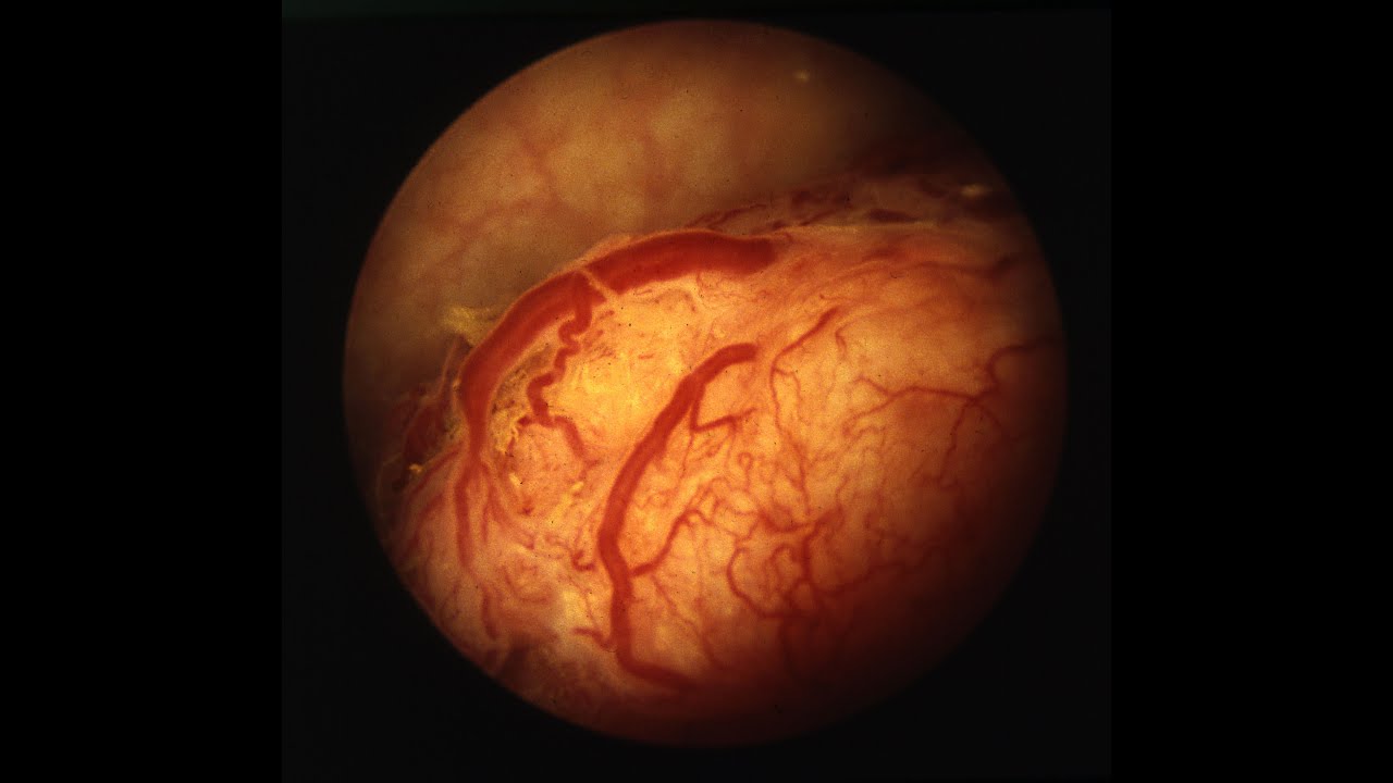 José Ángel Gómez Pascual-47