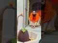 Guru Ji Ki Vishesh Pranam Mudra Mudra Viedo Varil Shorts Status Ytshorts