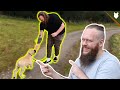 how to train a young puppy to walk to heel perfectly