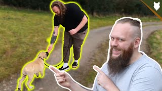 How To Train A Young Puppy To Walk To Heel Perfectly!