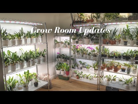 Updates to the Plant & Orchid Room | Setting Up a New Shelves, LED Lights  & Timers