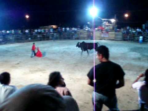 Costa Rican Bullfights