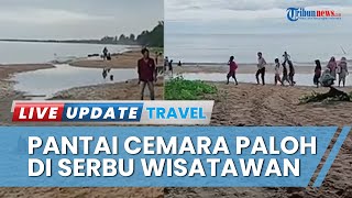 Tempat Wisata Pantai Cemara Paloh di Kabupaten Sambas Diserbu Wisatawan hingga H+4 Idul Adha