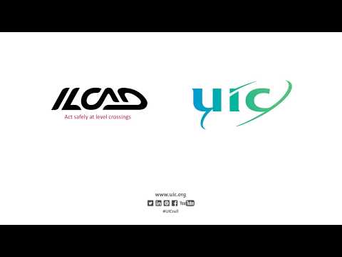 ILCAD 2018 Support of Jean Pierre Loubinoux