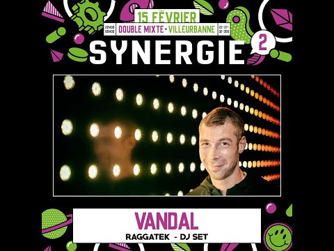 VANDAL @ SYNERGIE - DOUBLE MIXTE - VILLEURBANNE - 15 02 2020