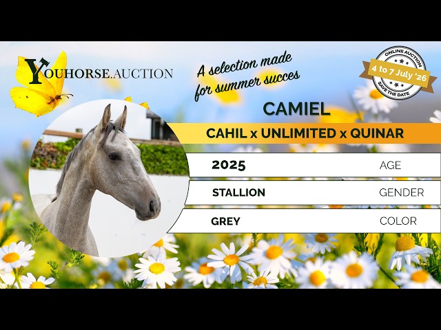 Camiel