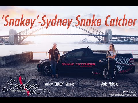 'Snakey' - Sydney Snake Catcher ~ Official Teaser Trailer (Pilot) | Deadly Snakes