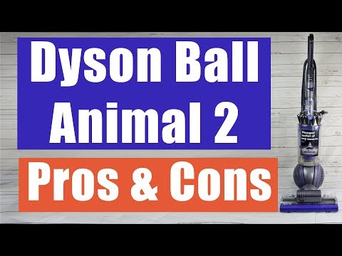 Dyson Ball Animal 2 Review PROS and CONS
